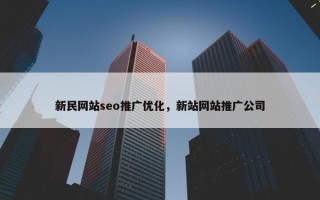 新民网站seo推广优化，新站网站推广公司