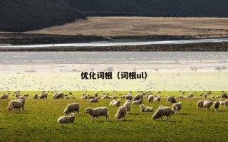 优化词根（词根ul）