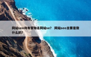 网站seo询有客知名网站se？ 网站seo主要是做什么的？