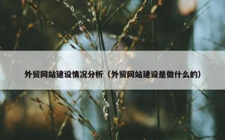 外贸网站建设情况分析（外贸网站建设是做什么的）