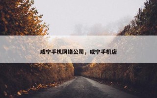 咸宁手机网络公司，咸宁手机店