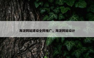 海淀网站建设全网推广，海淀网站设计