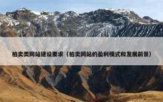 拍卖类网站建设要求（拍卖网站的盈利模式和发展前景）