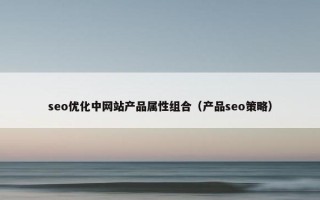 seo优化中网站产品属性组合（产品seo策略）