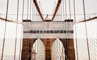 seo网站优化兴田德润的简单介绍