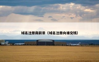 域名注册商前景（域名注册向谁交钱）