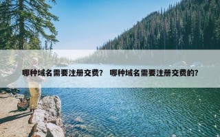 哪种域名需要注册交费？ 哪种域名需要注册交费的？