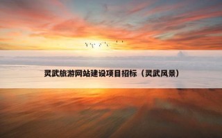 灵武旅游网站建设项目招标（灵武风景）