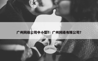 广州网络公司中小型？ 广州网络有限公司？