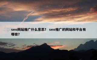 seo网站推广什么意思？ seo推广的网站和平台有哪些？