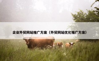 企业外贸网站推广方案（外贸网站优化推广方案）