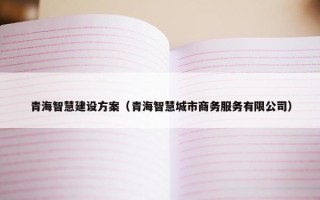 青海智慧建设方案（青海智慧城市商务服务有限公司）