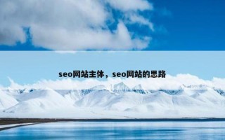 seo网站主体，seo网站的思路