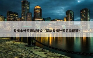 龙岗小外贸网站建设（深圳龙岗外贸总监招聘）