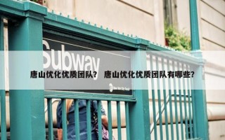 唐山优化优质团队？ 唐山优化优质团队有哪些？