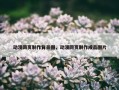 动漫网页制作背景图，动漫网页制作成品图片