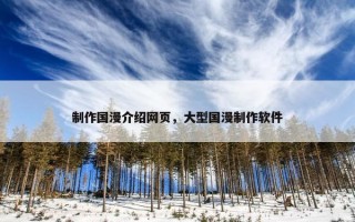 制作国漫介绍网页，大型国漫制作软件