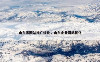 山东省网站推广优化，山东企业网站优化