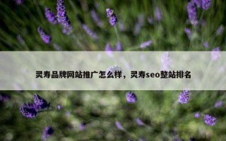 灵寿品牌网站推广怎么样，灵寿seo整站排名