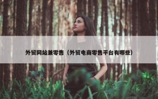 外贸网站兼零售（外贸电商零售平台有哪些）