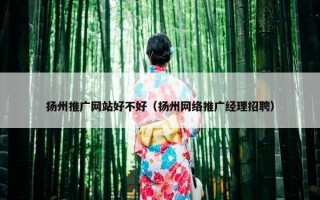扬州推广网站好不好（扬州网络推广经理招聘）