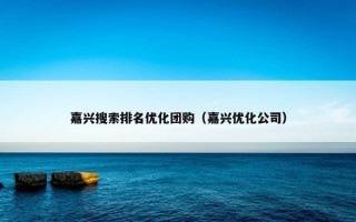 嘉兴搜索排名优化团购（嘉兴优化公司）