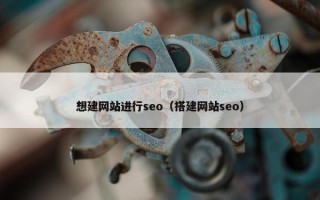 想建网站进行seo（搭建网站seo）