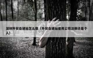 深圳外贸自建站怎么做（外贸自建站是用公司注册还是个人）