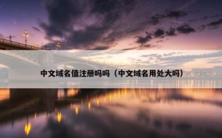 中文域名值注册吗吗（中文域名用处大吗）