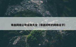 带鑫网络公司名称大全（带鑫好听的网络名字）
