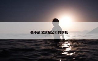 关于武汉建站公司的信息