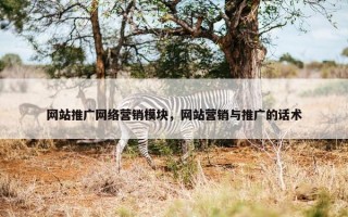 网站推广网络营销模块，网站营销与推广的话术