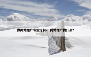 做网站推广专业定制？ 网站推广做什么？