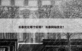 长春优化哪个好用？ 长春网站优化？