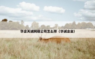 华企天诚网络公司怎么样（华诚企业）
