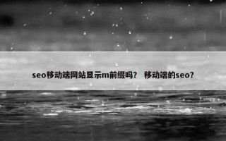 seo移动端网站显示m前缀吗？ 移动端的seo？