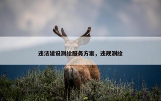 违法建设测绘服务方案，违规测绘