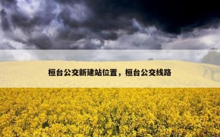 桓台公交新建站位置，桓台公交线路