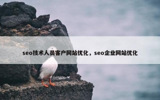 seo技术人员客户网站优化，seo企业网站优化