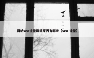 网站seo流量异常原因有哪些（seo 流量）