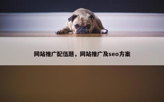 网站推广配伍题，网站推广及seo方案