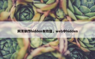 网页制作hidden有效值，web中hidden
