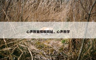 心声教案模板网站，心声教学