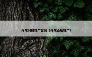 丹东网站推广套餐（丹东百度推广）