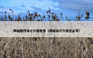 网站制作设计介绍报告（网站设计介绍怎么写）
