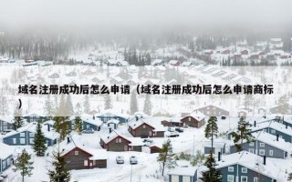 域名注册成功后怎么申请（域名注册成功后怎么申请商标）