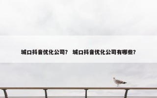 城口抖音优化公司？ 城口抖音优化公司有哪些？