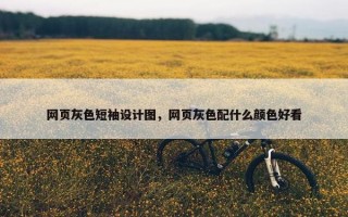 网页灰色短袖设计图，网页灰色配什么颜色好看