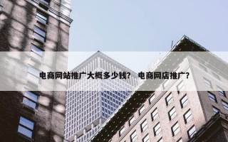 电商网站推广大概多少钱？ 电商网店推广？