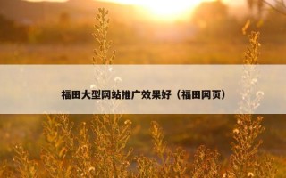 福田大型网站推广效果好（福田网页）
